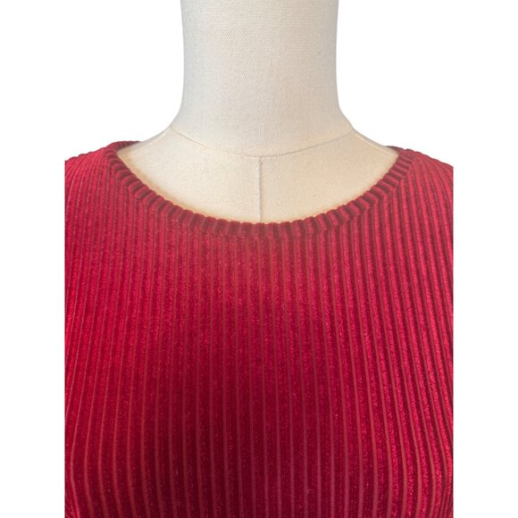 2/$15 ZARA Red Berry Medium Velvet Long Sleeve Ribbed Top Elastic Waist - Picture 4 of 13
